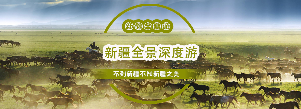 新疆深度? ></li>
                    
                          <li style=